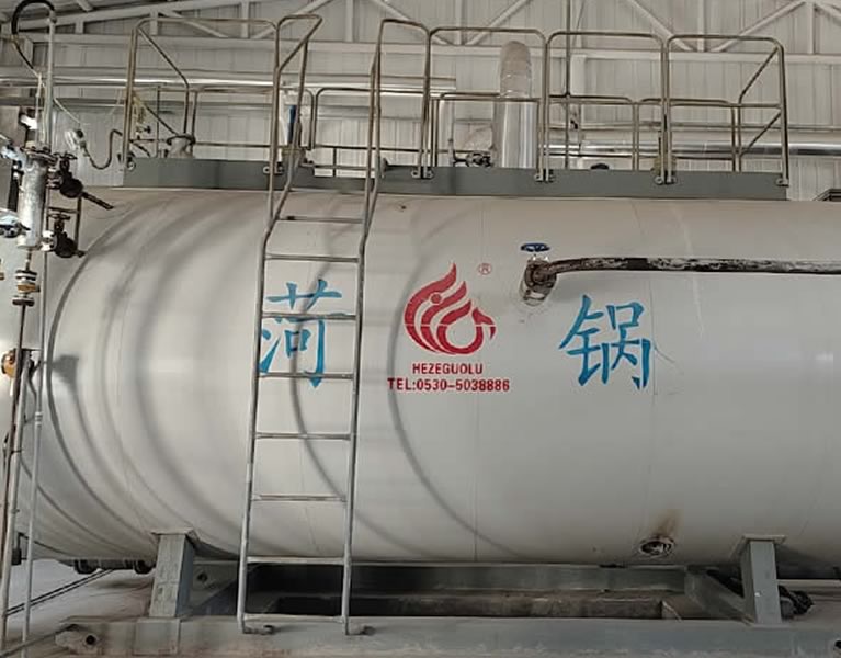 河北利仕化學科技6噸WNS蒸汽鍋爐